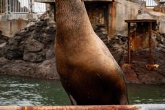 IMG_1188-scaled