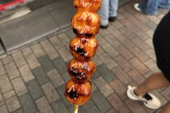 IMG_1796-scaled